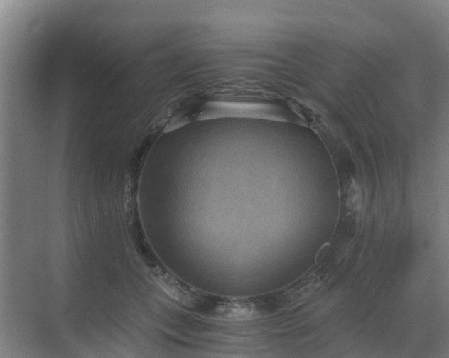 X0000069810559200605261751