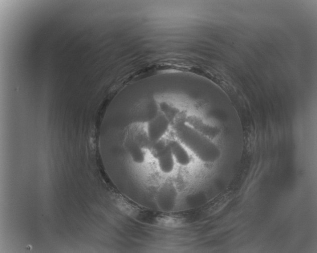 X0000069810561200605261751