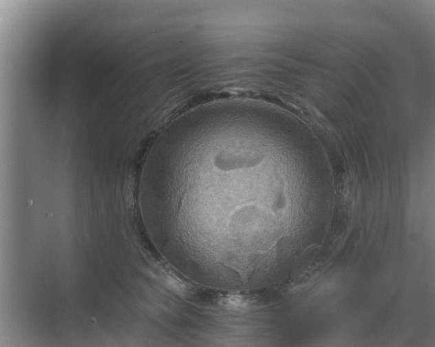 X0000069810565200605261751