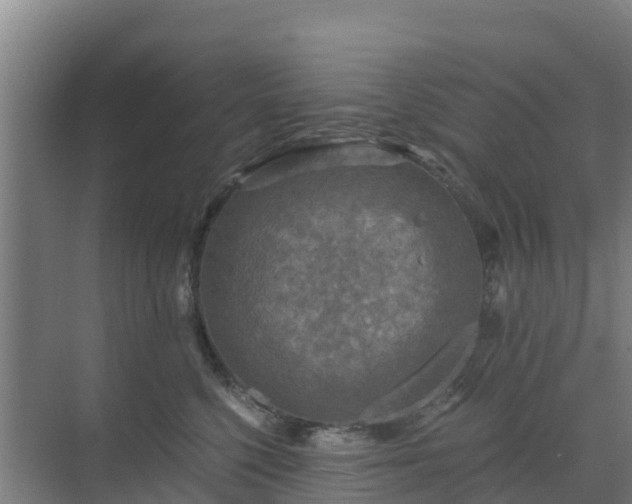 X0000069810568200605261751