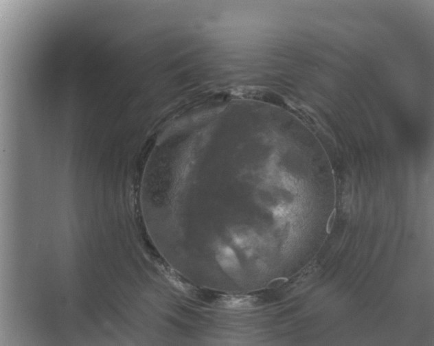 X0000069810569200605261751