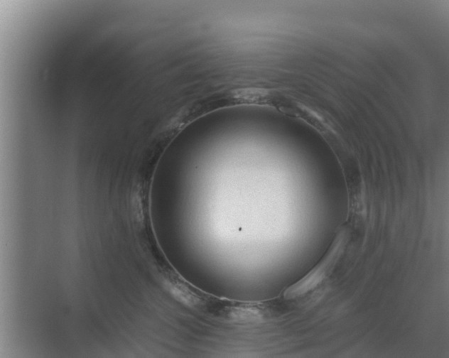 X0000069810572200605261751