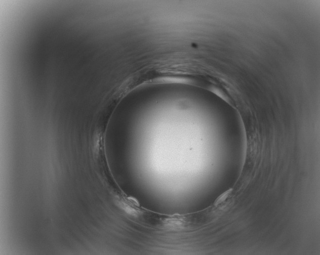 X0000069810574200605261751