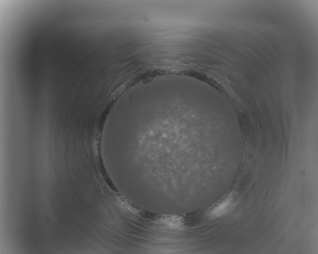 X0000069810576200605261752