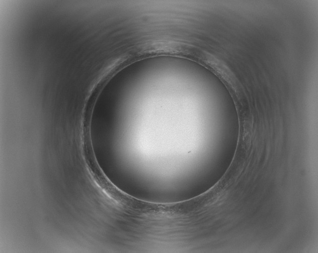 X0000069810578200605261751