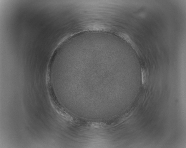 X0000069810579200605261751