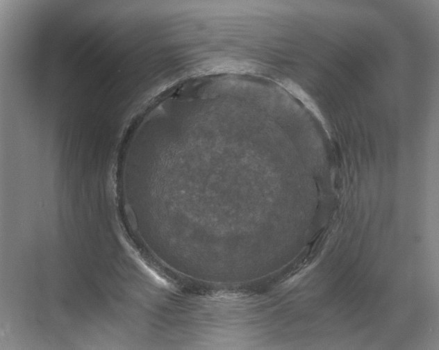 X0000069810581200605261751