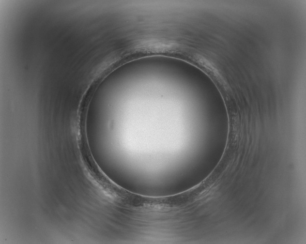 X0000069810582200605261751