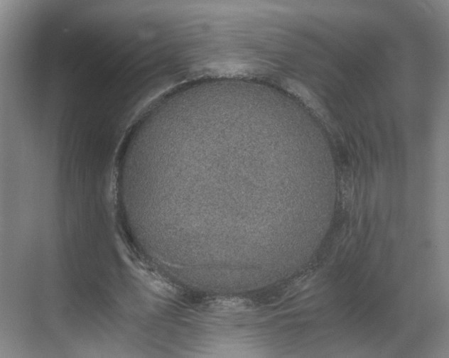 X0000069810583200605261751