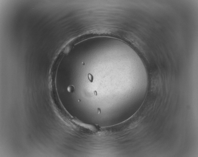 X0000069810584200605261751