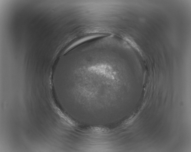 X0000069810585200605261751