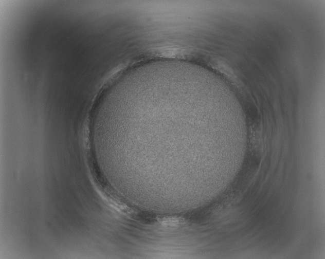 X0000069810587200605261751