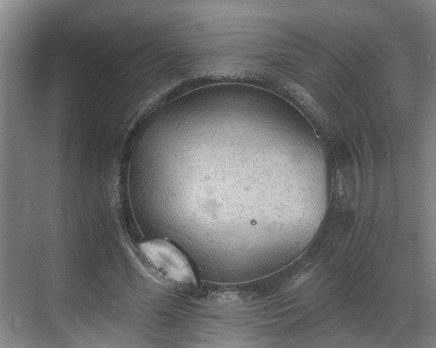 X0000069810588200605261751