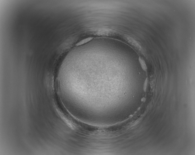 X0000069810589200605261751