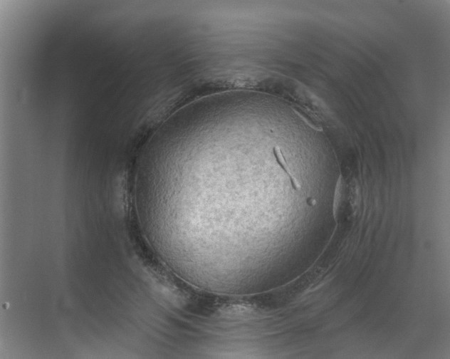 X0000069810594200605261750