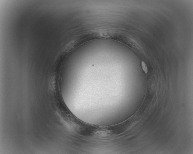 X0000069810595200605261750