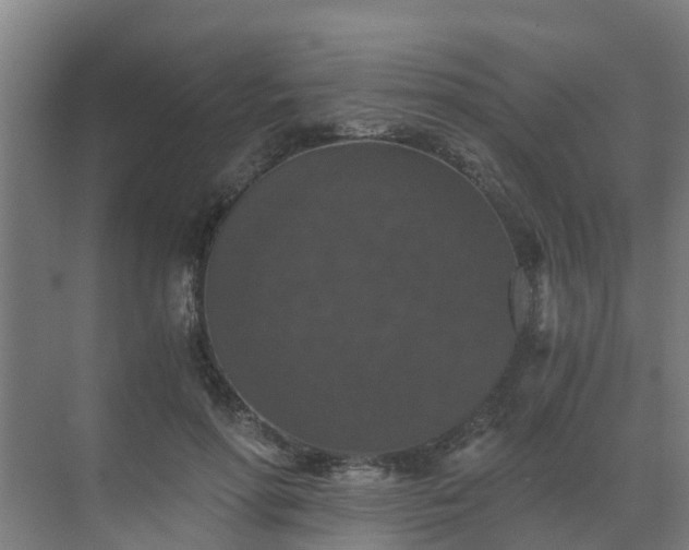 X0000069810598200605261750