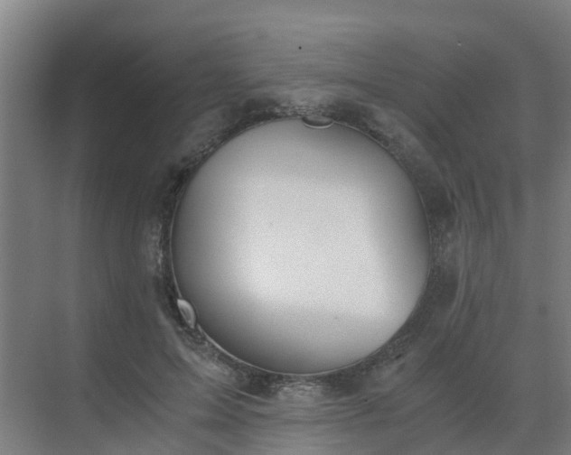 X0000069810599200605261750