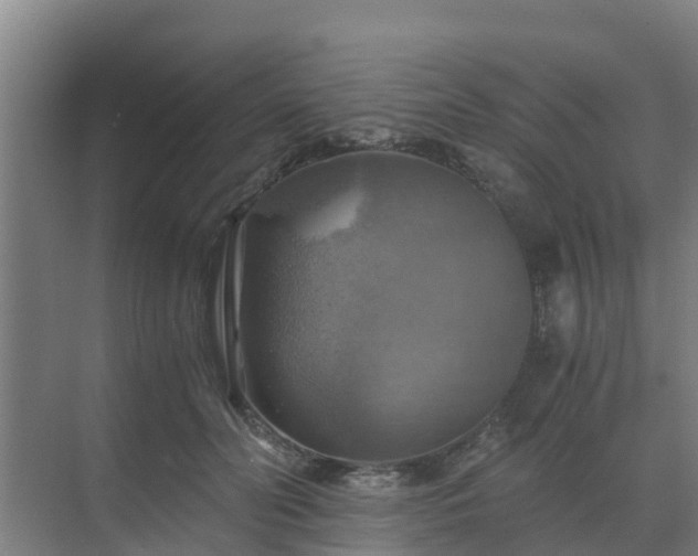 X0000069810606200605261750