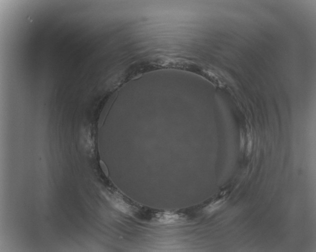 X0000069810607200605261750