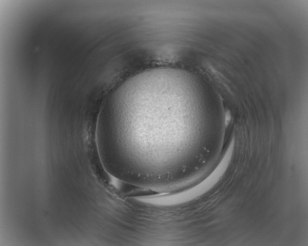 X0000069810608200605261750