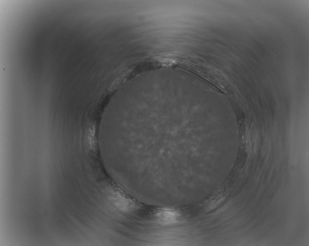 X0000069810610200605261750