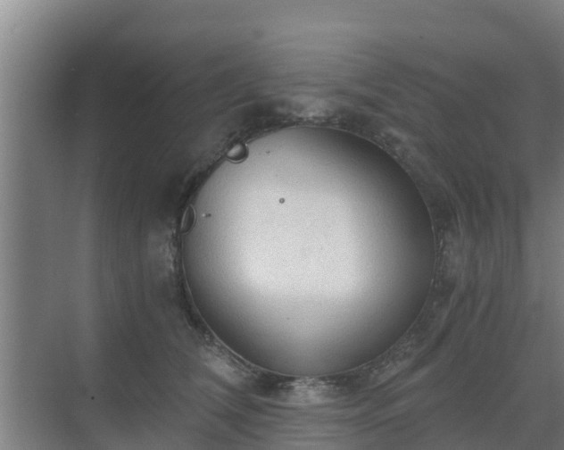 X0000069810612200605261750