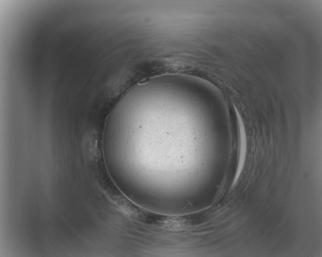 X0000069810615200605261750