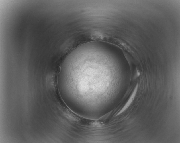 X0000069810616200605261750