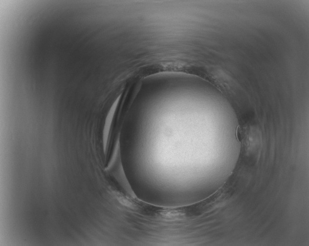 X0000069810619200605261750