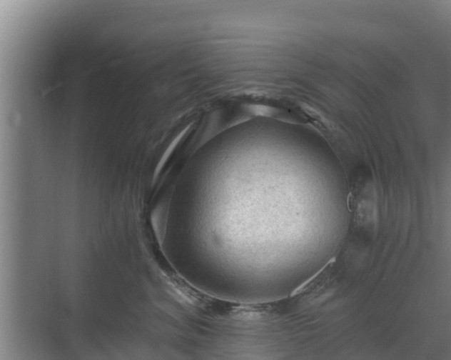 X0000069810620200605261750