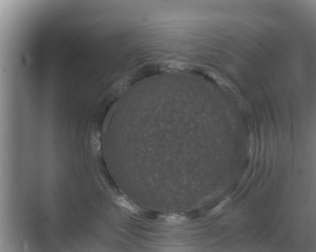 X0000069810621200605261750