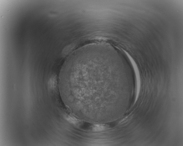 X0000069810623200605261750