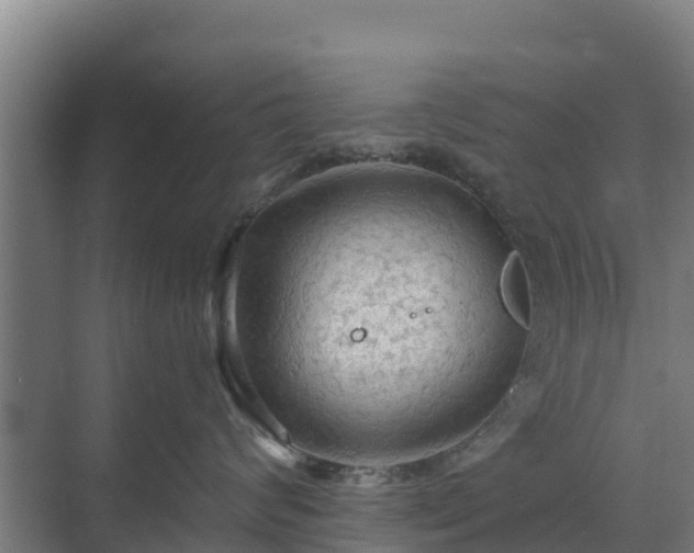 X0000069810624200605261750