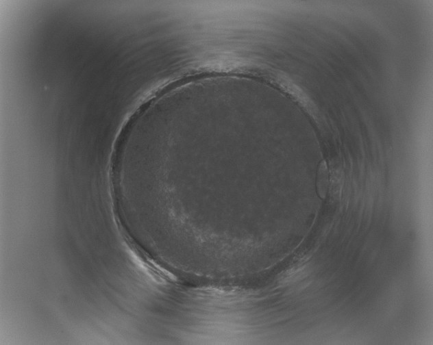 X0000069810626200605261749