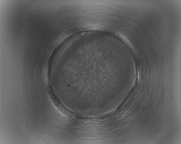 X0000069810627200605261749