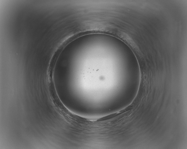 X0000069810628200605261749