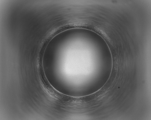 X0000069810631200605261749