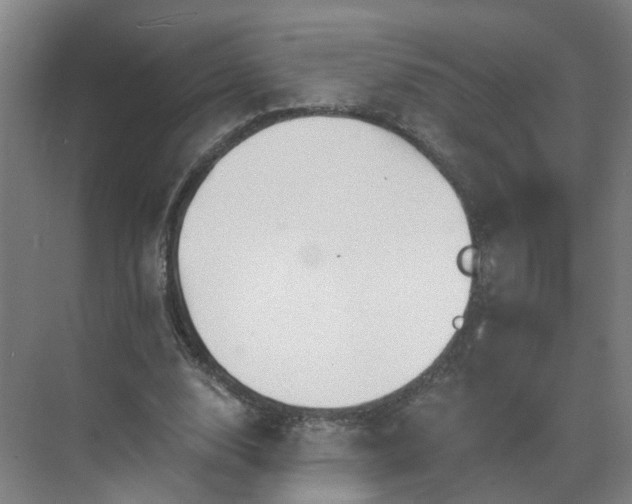 X0000069810632200605261749