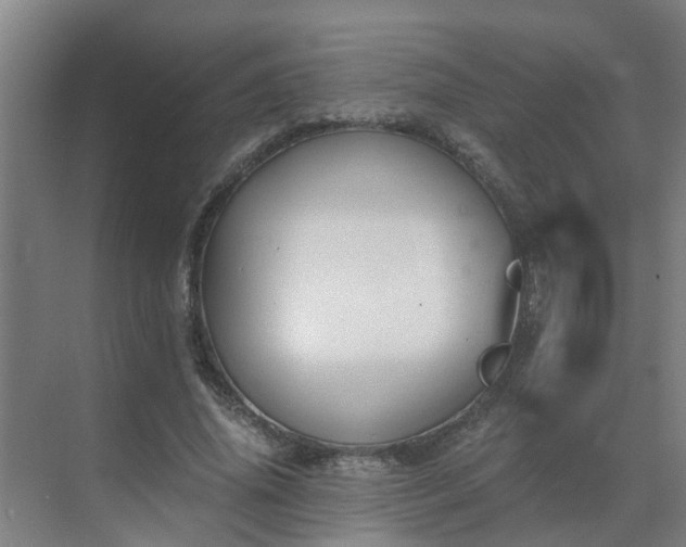 X0000069810636200605261749