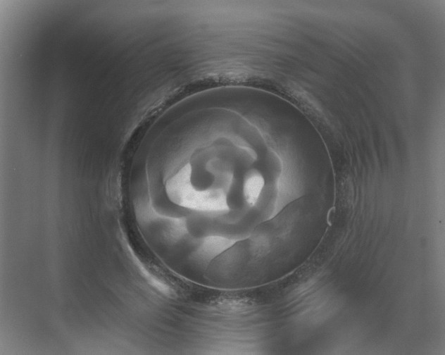 X0000069810638200605261749