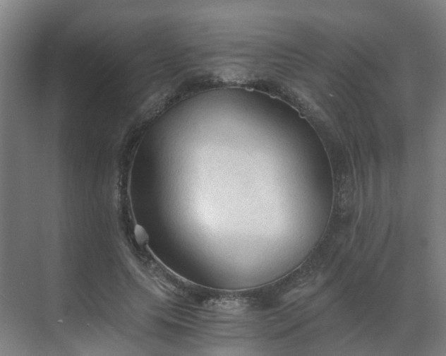 X0000069810639200605261749