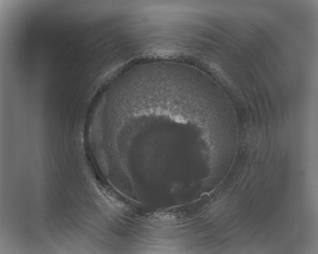 X0000069810640200605261749