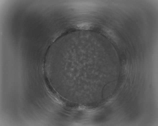 X0000069810641200605261749