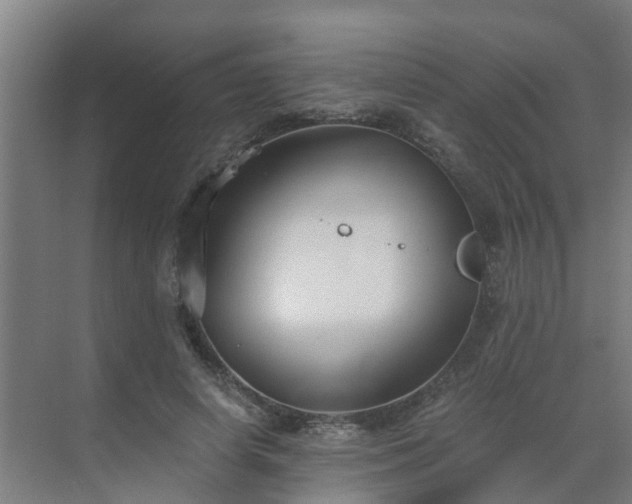 X0000069810642200605261749