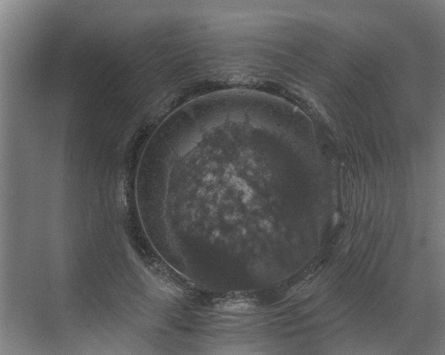 X0000069810643200605261749