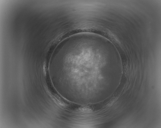 X0000069810644200605261749