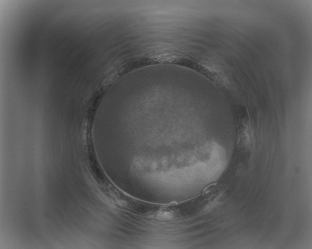 X0000069810647200605261749