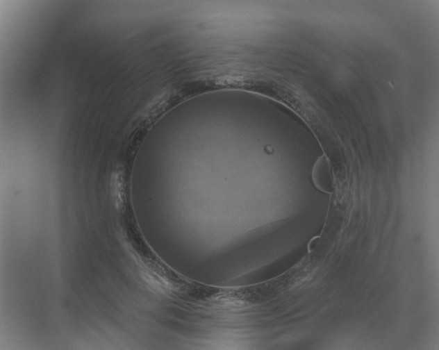 X0000069810648200605261749