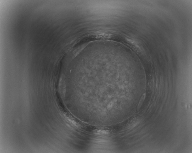 X0000069810649200605261750